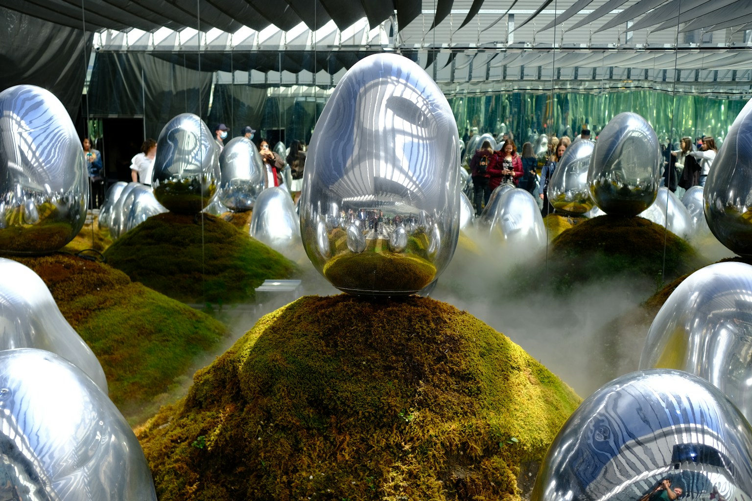 Shiny egg-shaped sculptures on mossy mounds (Photo by Avi Varma on Unsplash)