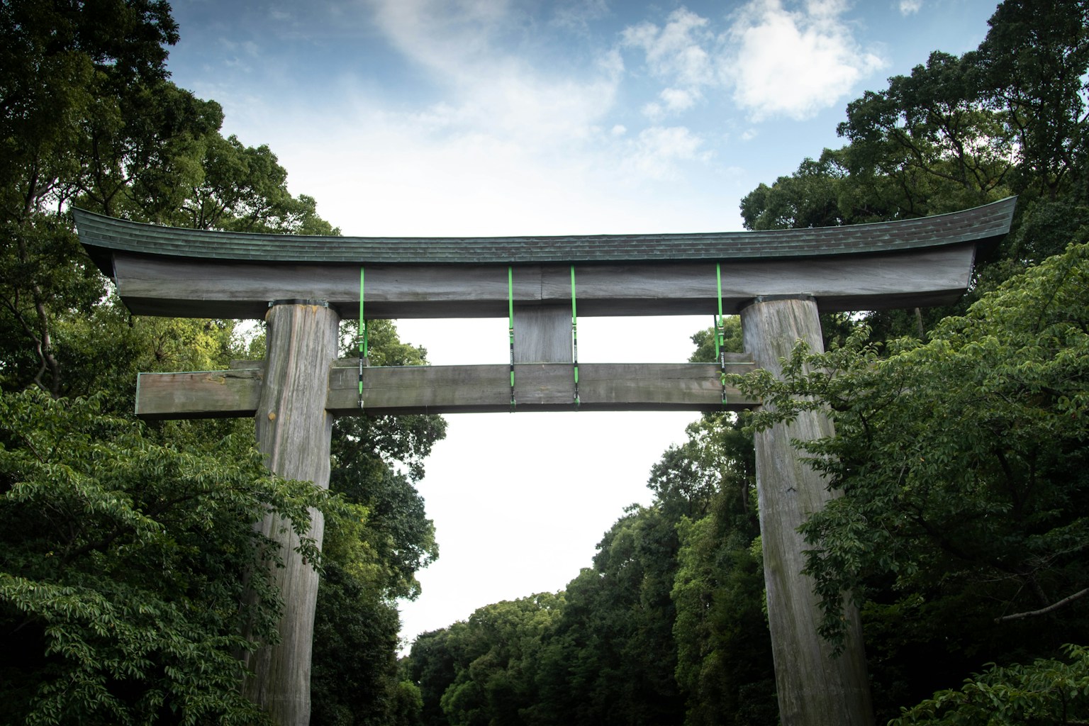 a bridge over a forest (Photo by Rico Reynaldi on Unsplash)