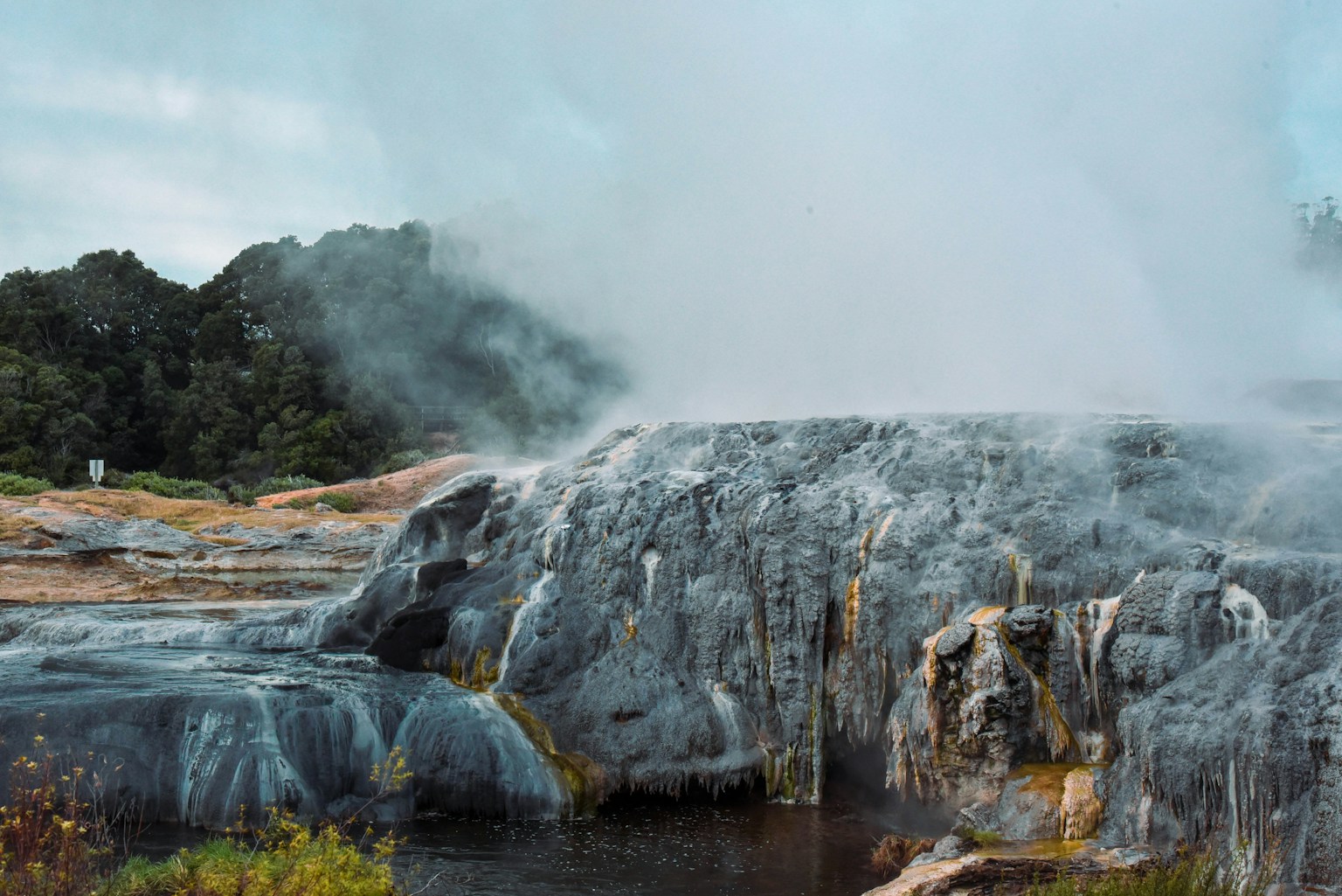 Relaxing Hot Springs and Buffet Fun for Families at Tenpai no Sato in Fukuoka (Photo by Christian Dala on Unsplash)