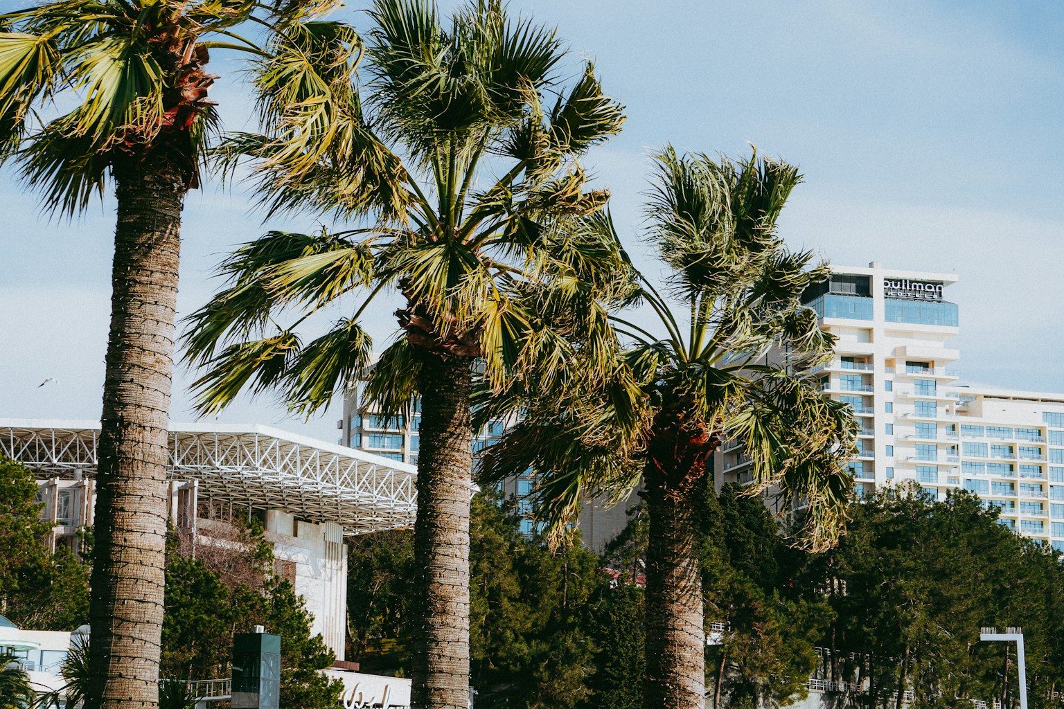 a row of palm trees in front of a hotel (Photo by Sergey Beschastnykh on Unsplash)