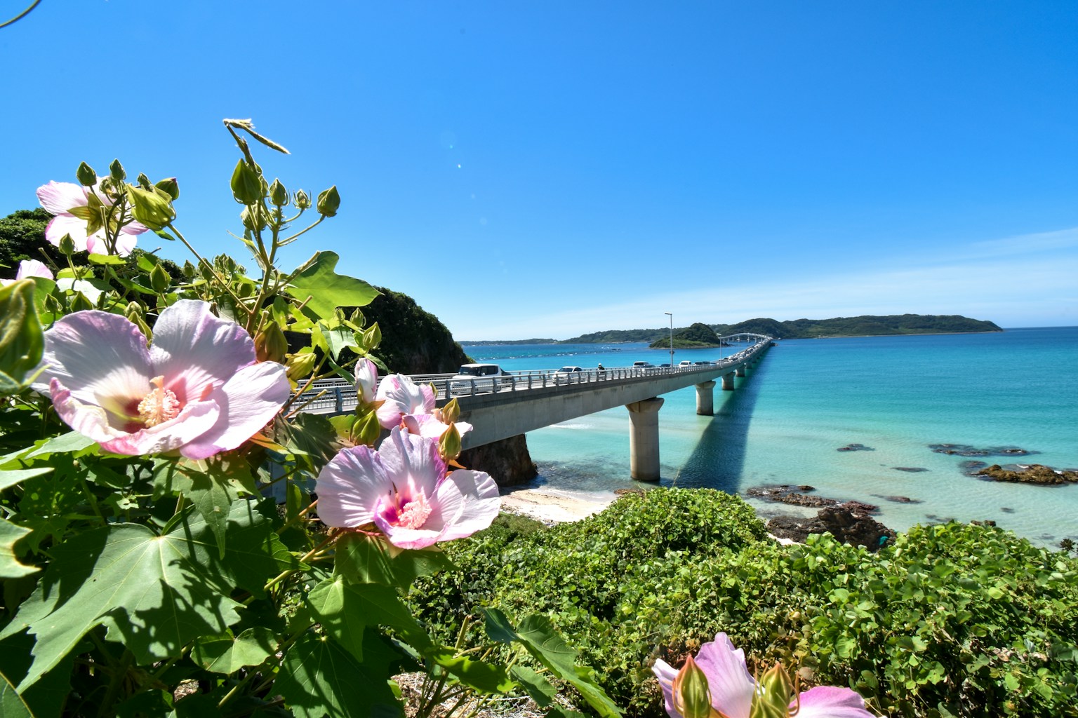 Family beach day in Kyushu - calm turquoise water with sandy shore (Photo by Samuel Berner on Unsplash)