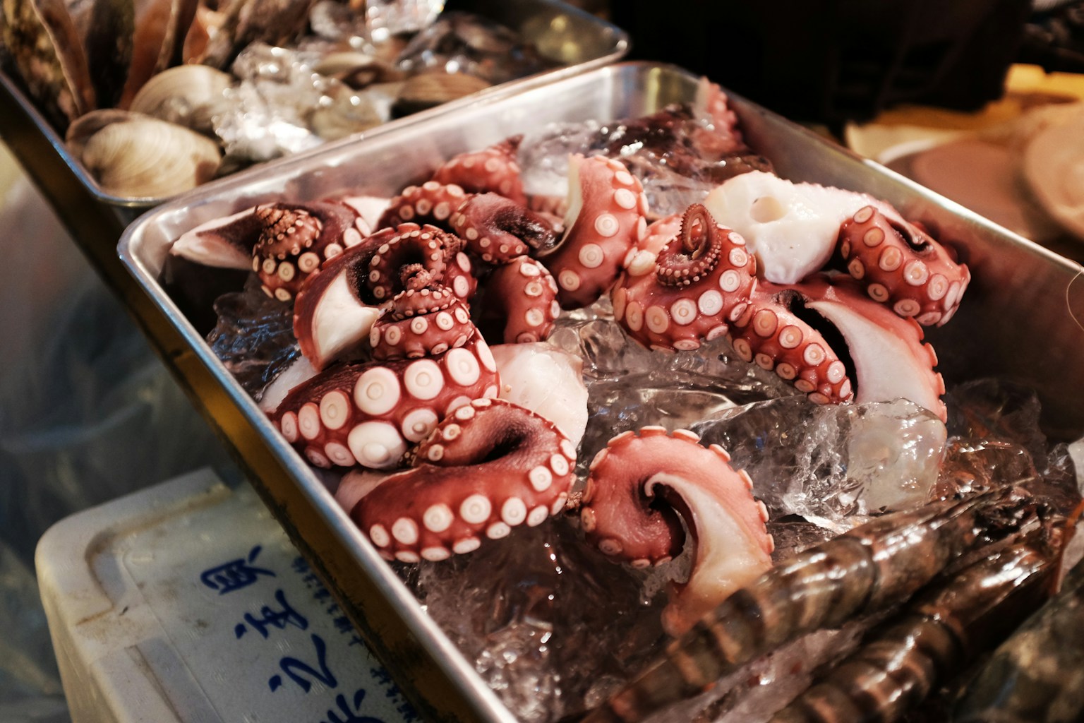 octopus on gray tray (Photo by Alex Knight on Unsplash)