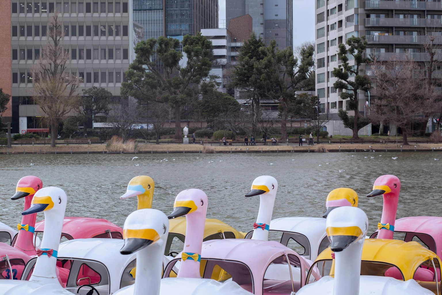 a row of colorfully painted pedal cars in front of a body of water (Photo by Alex Rerh on Unsplash)