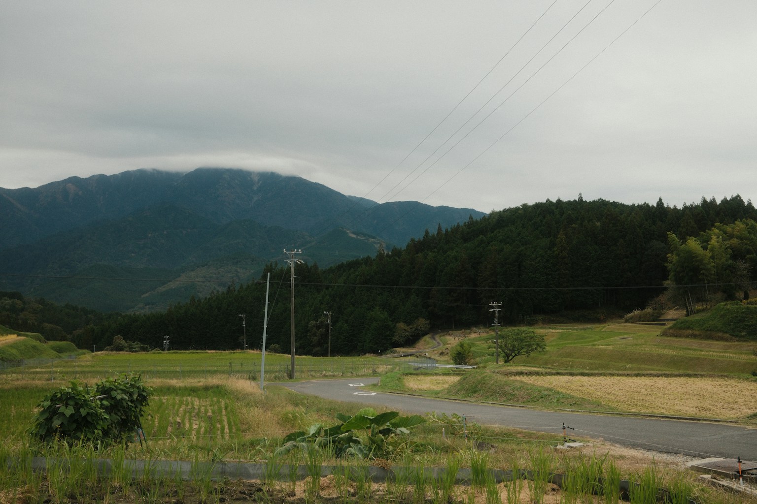 Rural landscape with mountains and fields (Photo by Nizar Firmansyah on Unsplash)