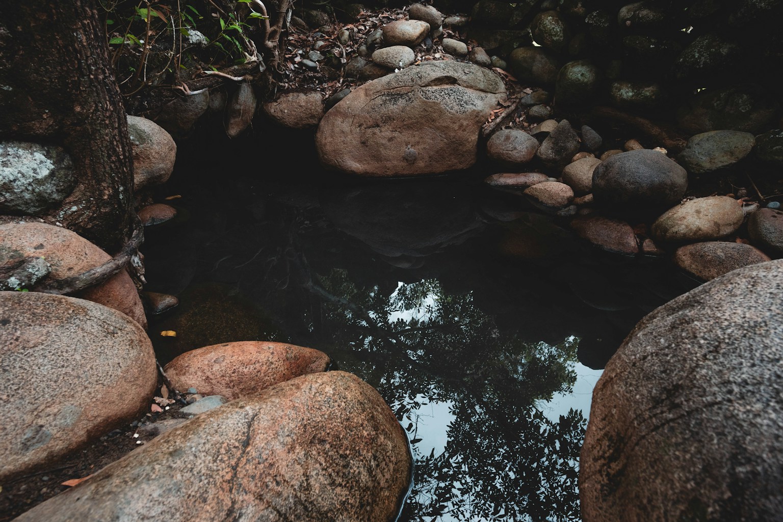 a small pond surrounded by rocks and trees (Photo by Jonathan Gagnon on Unsplash)