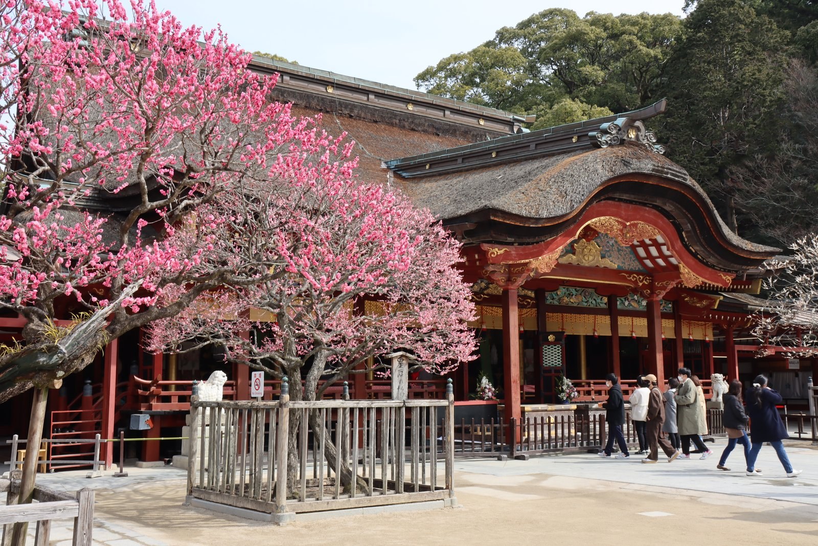 The main hall of Dazaifu Tenmangu shrine near Fukuoka