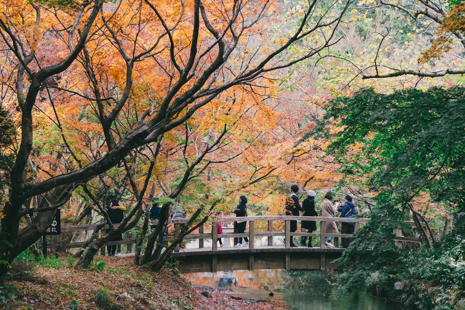 people standing on bridge near body of water during daytime (Photo by Tayawee Supan on Unsplash)