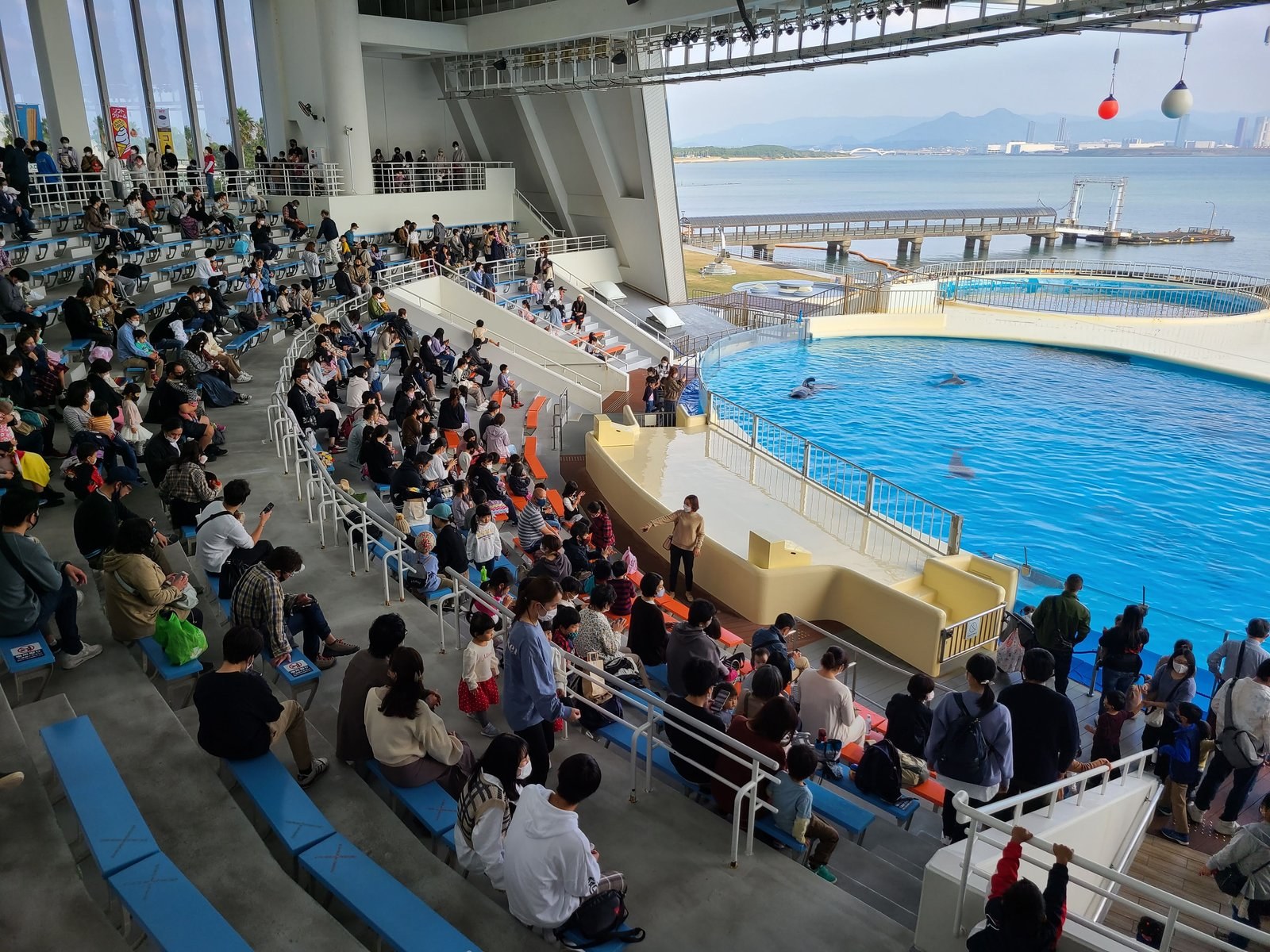 A show at Marine World Uminonakamichi, Fukuoka