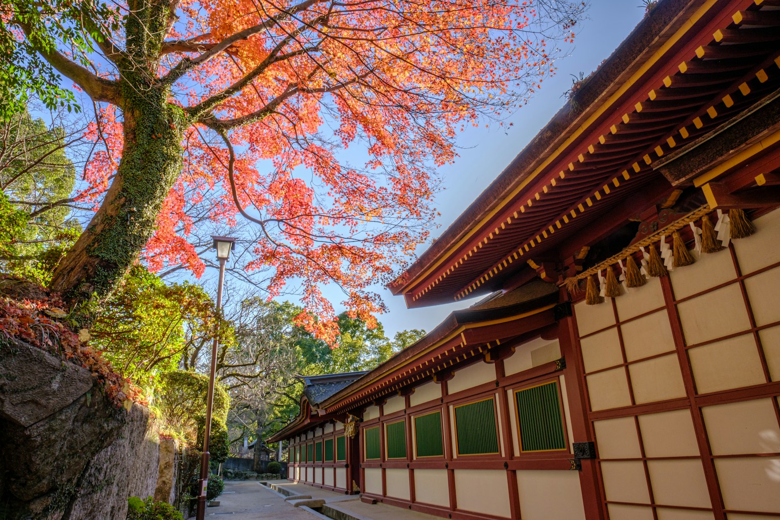 a building with a tree in front of it (Photo by Nichika Sakurai on Unsplash)