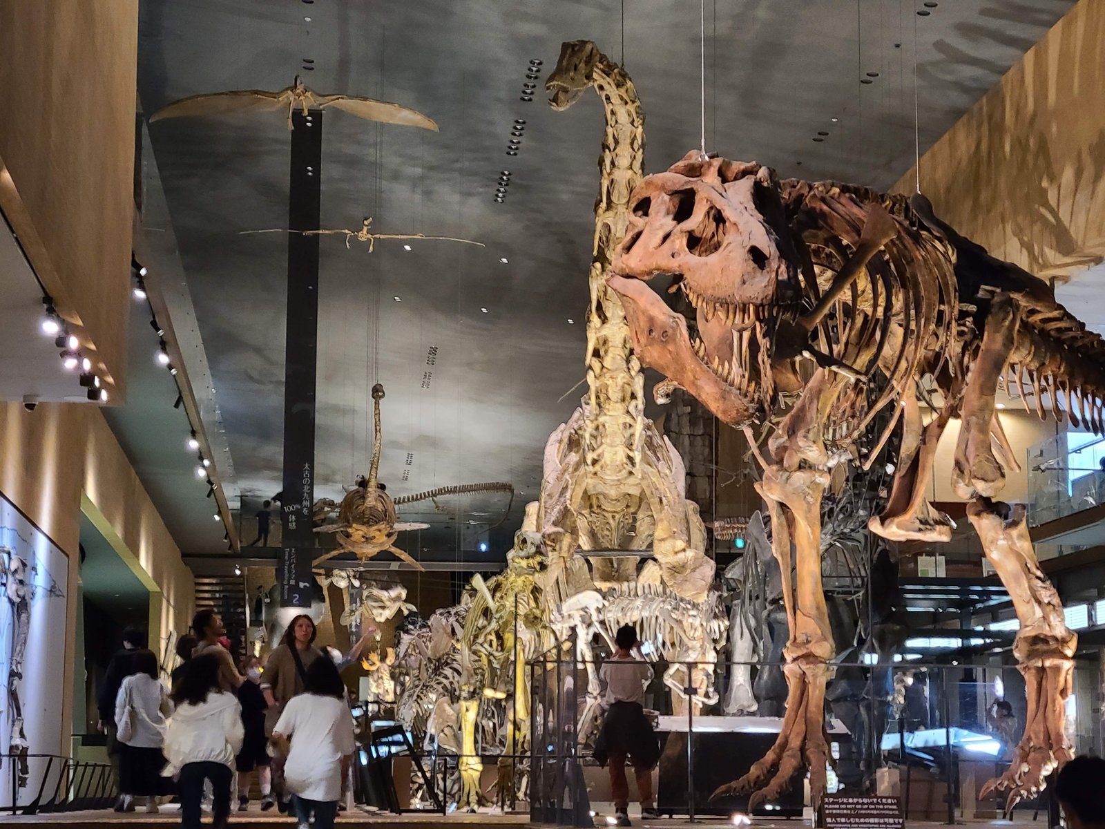 The dinosaur museum in Kitakyushu