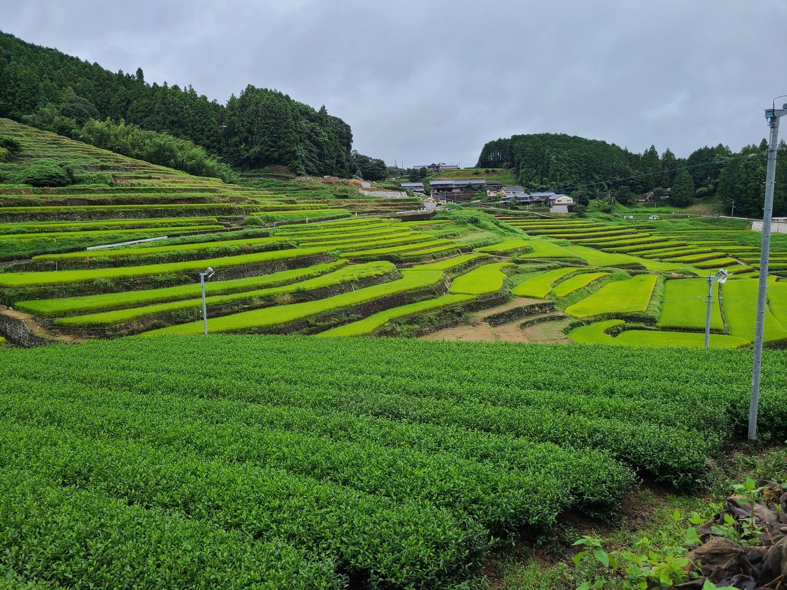Rice terraces in Karatsu, Saga