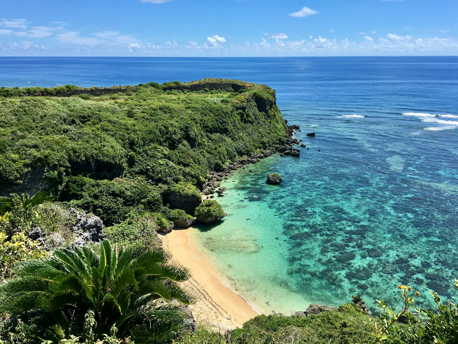 4-Day Okinawa Itinerary with Kids (Photo by Yasuaki Uechi on Unsplash)