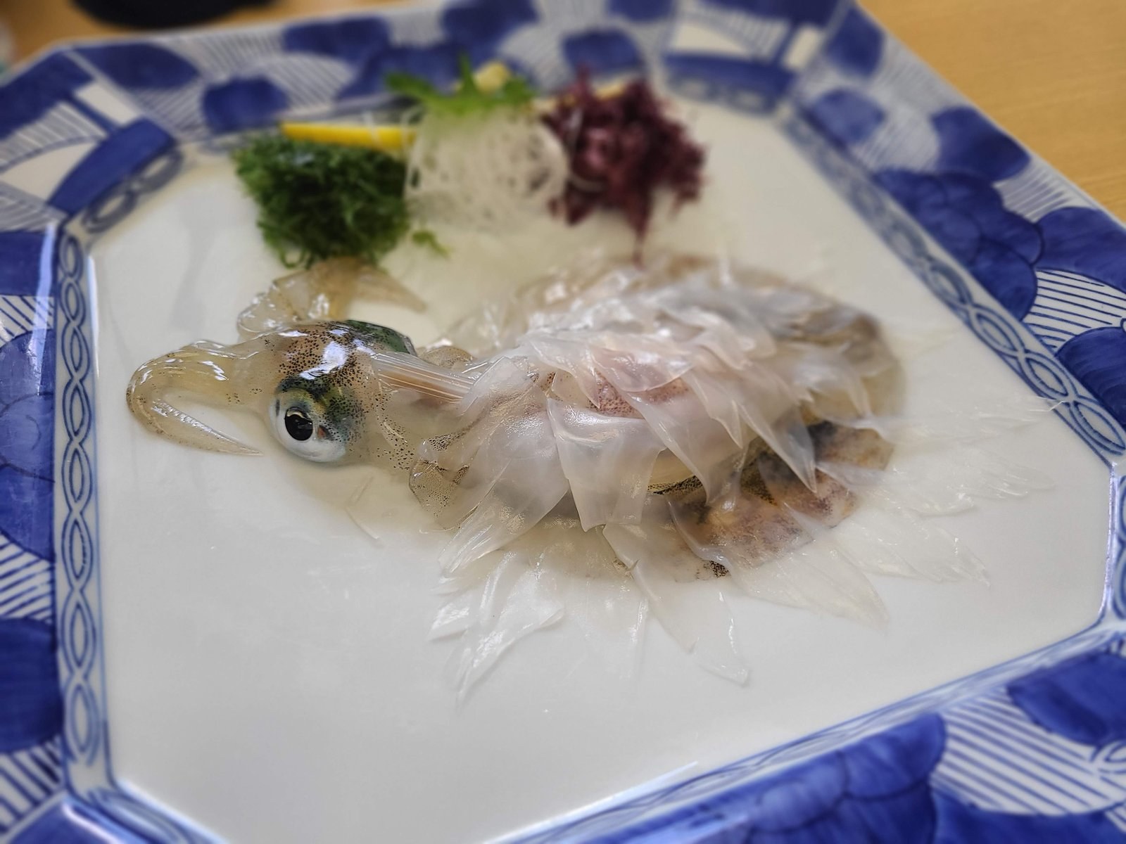 Fresh live squid at Yobuko, Saga