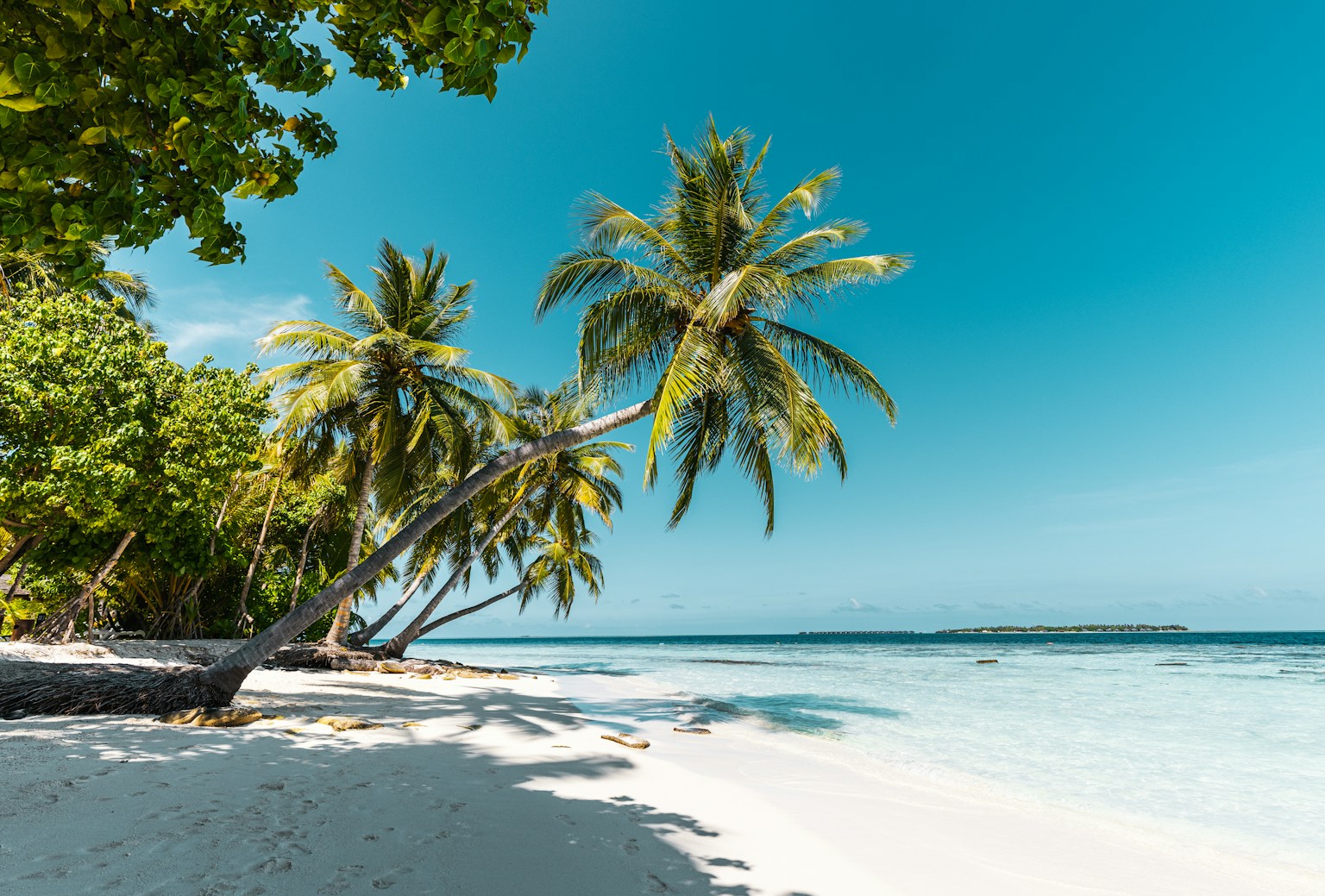 Umibiraki: Okinawa's Beach Opening Season, Explained for Families (Photo by Simon Spring on Unsplash)