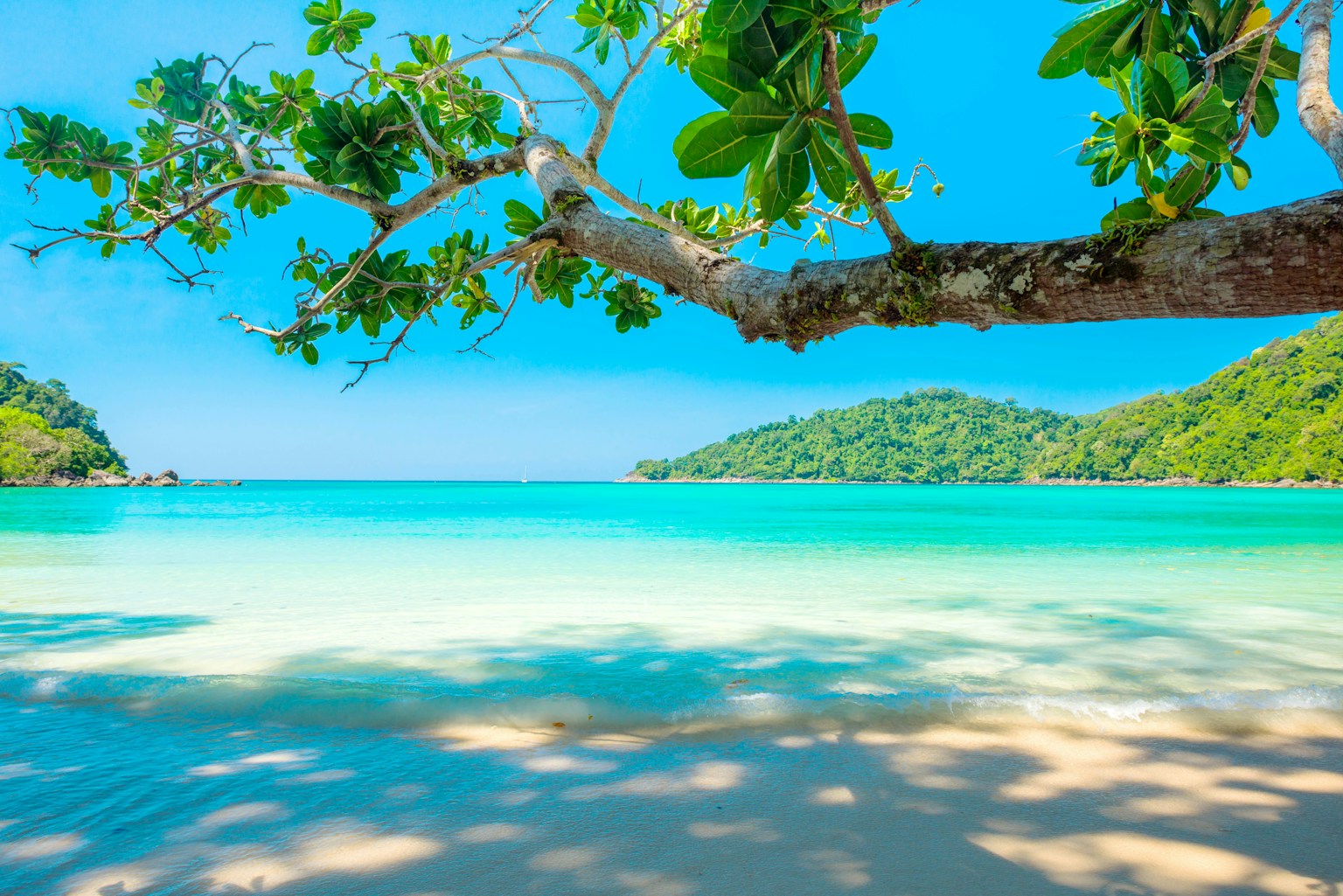 Okinawa in March–April with Kids: Sea Opening (Umi-biraki) and Spring Break Guide (2026) (Photo by dharmendra sahu on Unsplash)