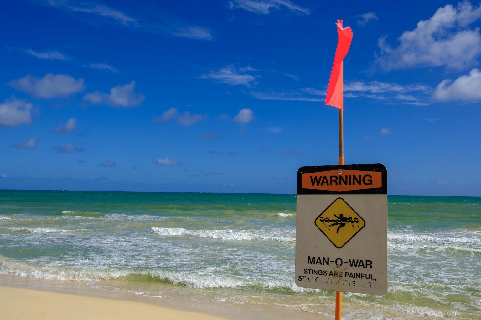 Okinawa in Summer with Kids: Heat, Jellyfish Nets and Pool Backups (Photo by Yumiko Yamakita on Unsplash)