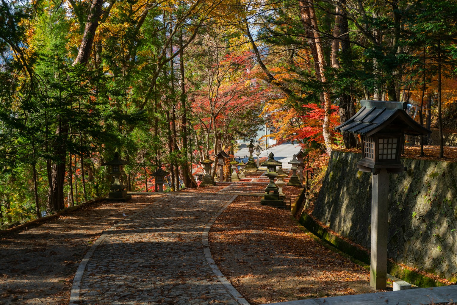 gray concrete road between trees during daytime (Photo by Lucas Calloch on Unsplash)